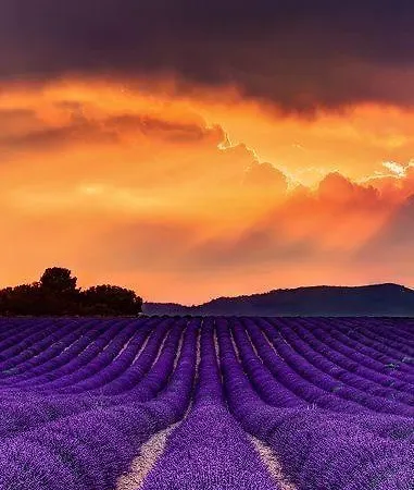 Le Relais Du Luberon Hotel