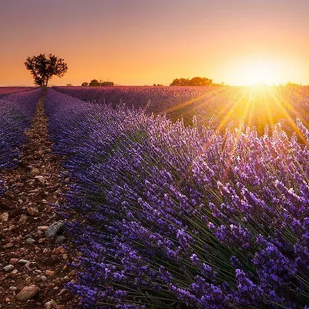 Le Relais Du Luberon